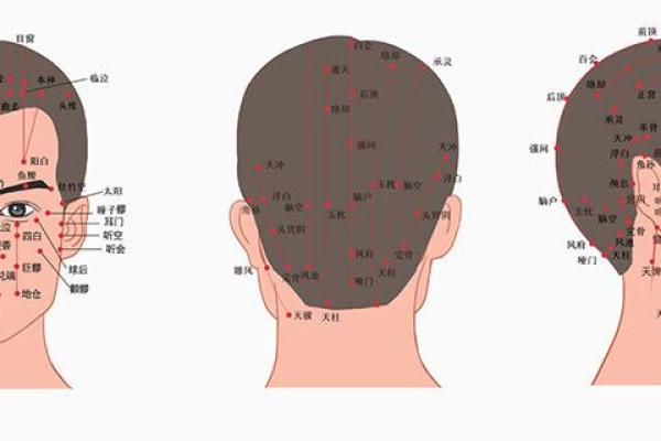 悬针纹面相解析：如何通过面部纹理识别性格特点