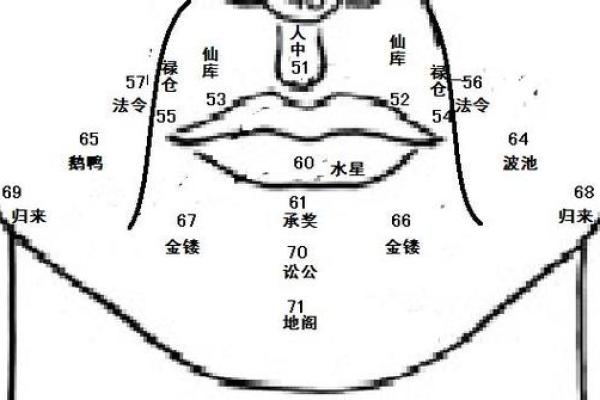 痣相水险解析：身体水域痣的命理含义与预示