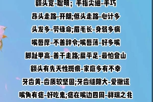 面面相看与社会关系：如何更好地理解他人