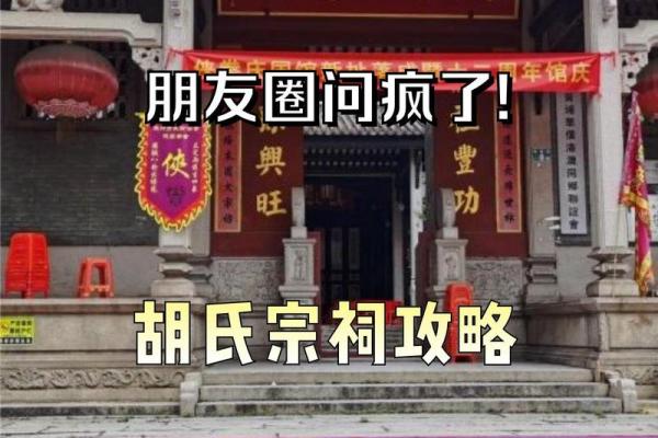 胡姓取名技巧与文化传承探讨