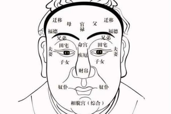 深入解析痣相论：从痣的位置看人生运势