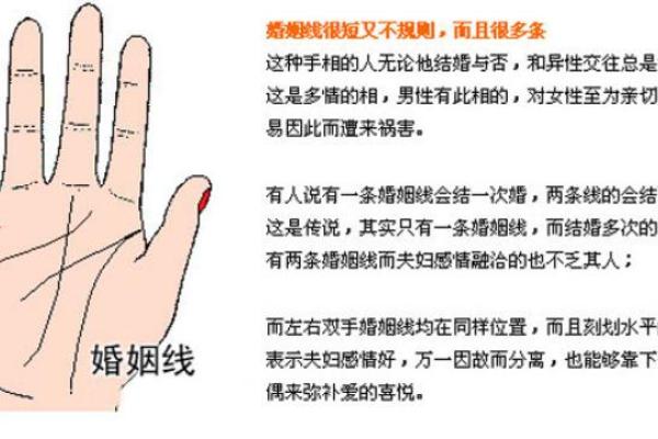 女人手相图解：你掌握了哪些人生密码