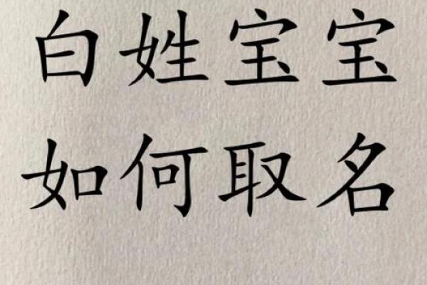 如何为鸡宝宝选择一个既可爱又有意义的名字