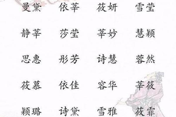 如何为鸡宝宝选择一个既可爱又有意义的名字