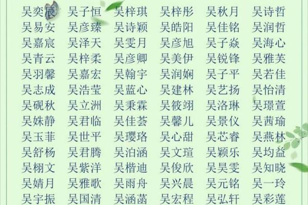 新生宝宝名字大全：打造独一无二的个性名字