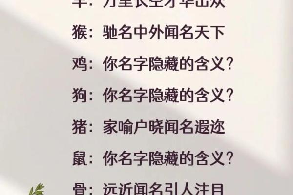 免费名字打分，测测你的名字能否带来好运