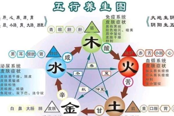 五行与健康：不同五行属性的养生之道