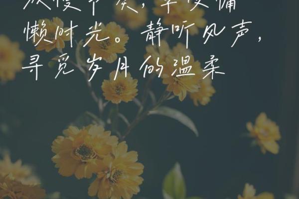 九月节日时光：给你带来秋季的欢乐与宁静