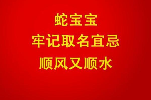 如何为你的蛇宝宝挑选一个完美名字