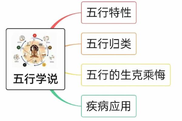 五字五行的属性解析与应用