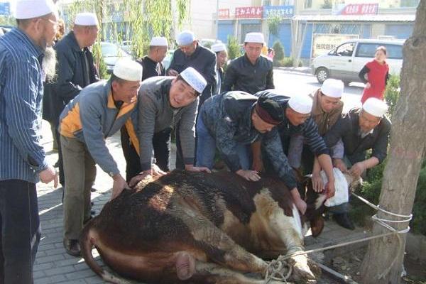 探索回族节日习俗与家族团聚的温馨