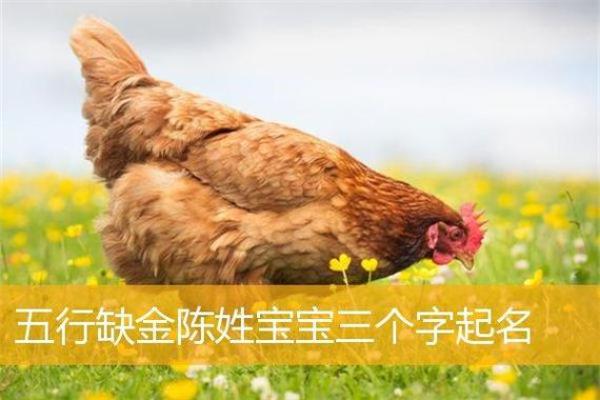 陈姓男孩取名宝典：富有文化底蕴的选择