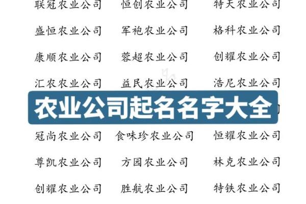 起名字公司：如何选择一个既独特又易记的公司名称