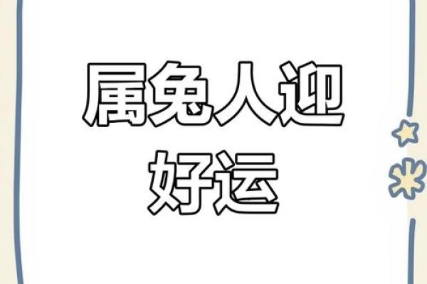 属兔人今日运势解读：财运与感情的平衡之道