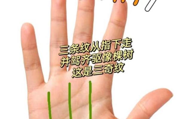 不同位置的手掌痣代表什么？