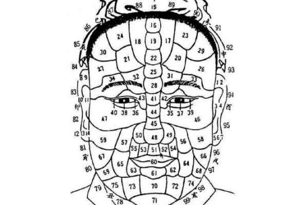 如何通过额头面相判断性格与未来运势