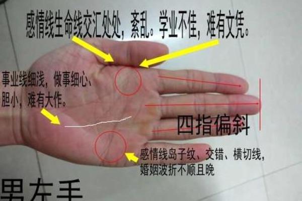 手相学入门：免费教你解读掌纹