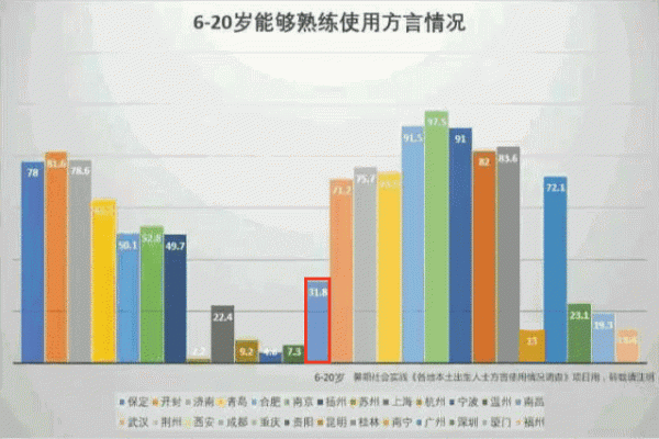 方言消失的背后：现代社会中的语言危机