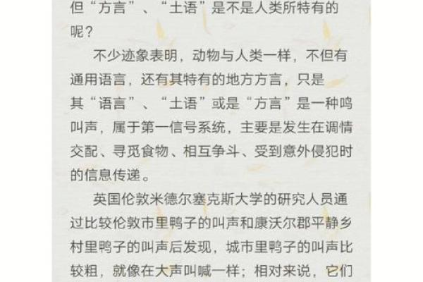 方言消失的背后：现代社会中的语言危机