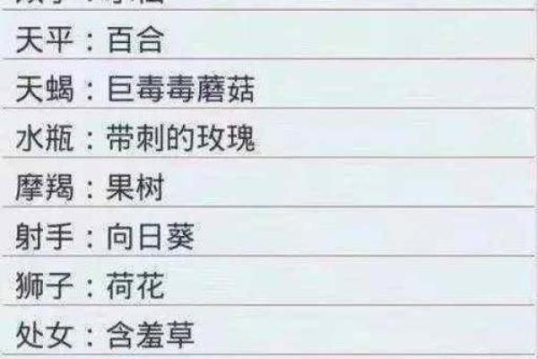 水瓶女今日运势揭示：理性与感性的平衡点