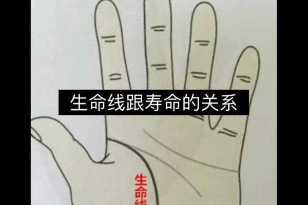 女性手相分析：掌中之纹预示的生命轨迹