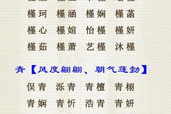 新生宝宝起名字的最佳选择与技巧解析