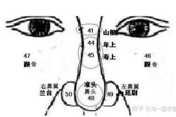 鼻梁痣相的命运解读与个性特征