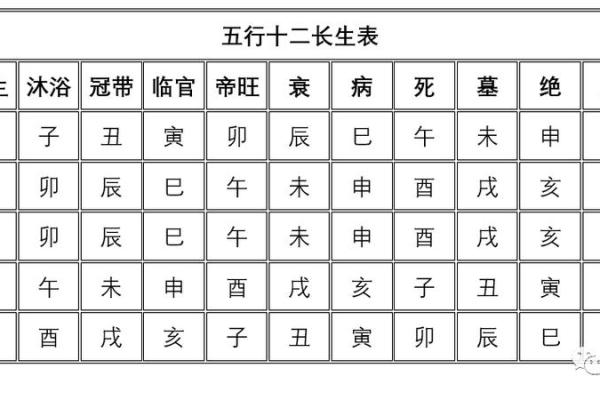 八字阴阳：如何通过阴阳五行找到命运的平衡点