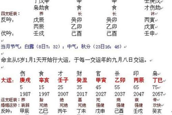 生辰八字自动计算器：解锁你的命运轨迹