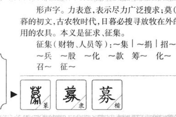 张雨桐名字评分：从字形到五行的全面评估