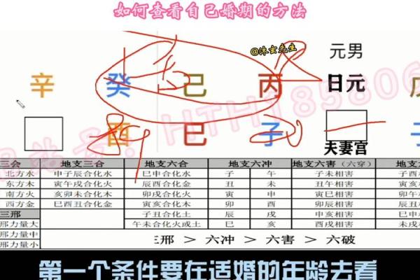 生辰八字配对解析：如何通过八字找到最佳伴侣