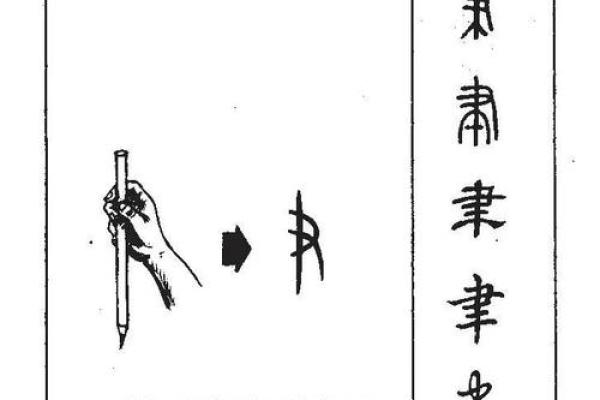 八字头的字有哪些？解析常见字形与含义