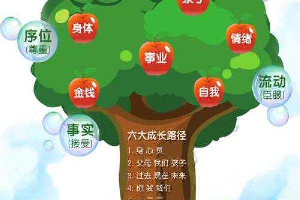 入门级风水知识：提升家庭和谐与健康的实用指南