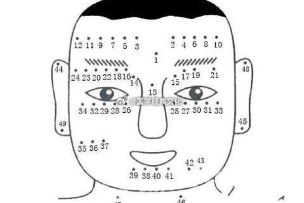 男人面相痣的位置与命运解析全图解