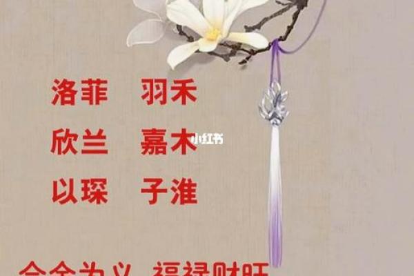 属鸡宝宝起名指南：挑选寓意吉祥的好名字