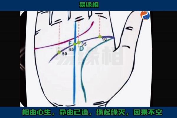 揭秘手相学：如何从掌纹中读懂人生