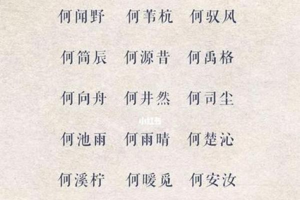 蛇年女宝宝起名指南：为女儿选个寓意深远的名字