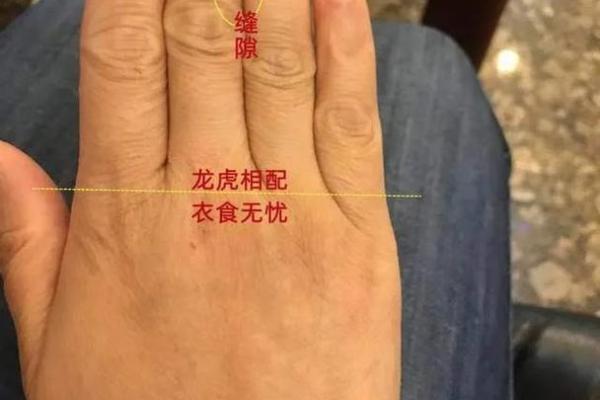 离婚手相解析：掌纹如何揭示感情破裂的征兆