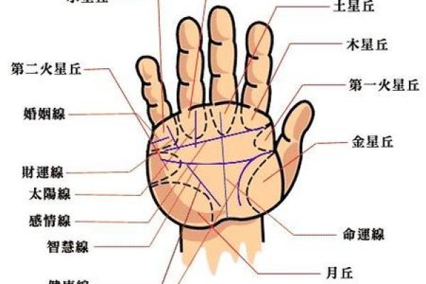 手相会随着年龄改变吗？了解手纹的演变过程