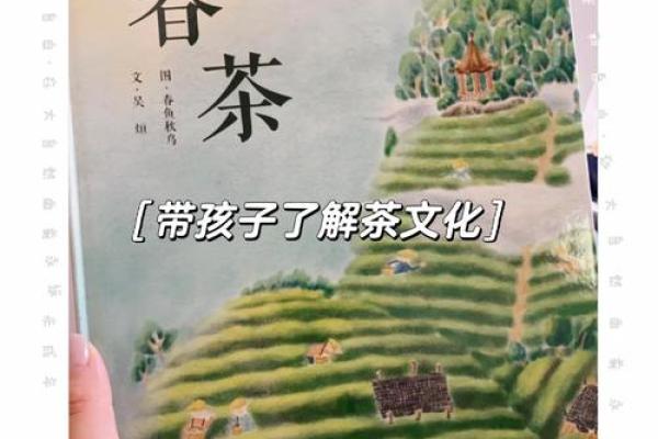 茶香四溢：福建茶文化对生活方式的影响