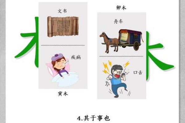 五行属性查询在生活中的实际应用与意义