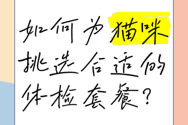 如何为你的猫咪挑选一个独特又合适的名字