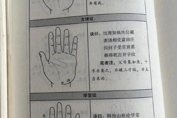 全面解析男人手相：掌中隐含的性格与人生轨迹