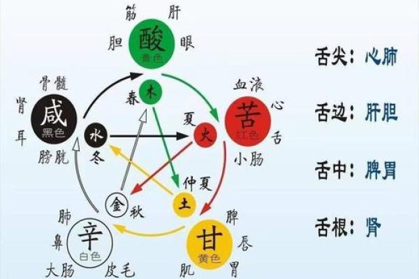 惜字五行属性解析及其与命理的关系