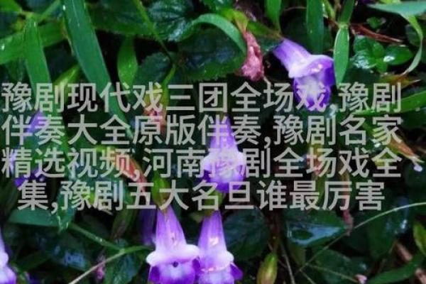 新生宝宝名字大全：传统与现代的完美融合