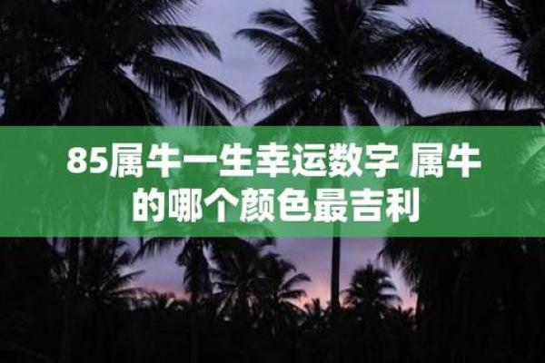 探索命理与颜色的奇妙联系，找寻属于你的幸运色