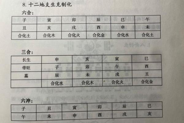 天干地支年份的奥秘与文化传承解析