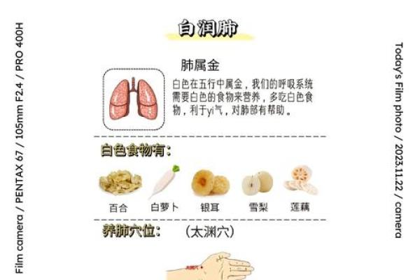 五行理论在现代生活中的应用与启示