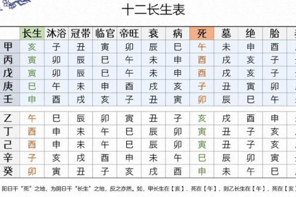 天干长生表揭示的命理奥秘与实践指南