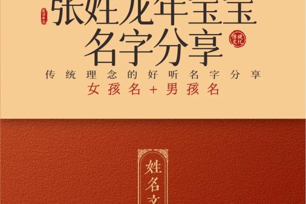 张姓男宝宝起名参考：传承与创意并存的名字解析